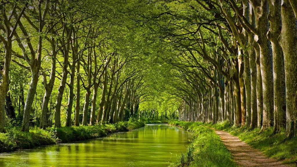 Gite La Chartreuse Du Canal Du Midi 툴루즈 외부 사진